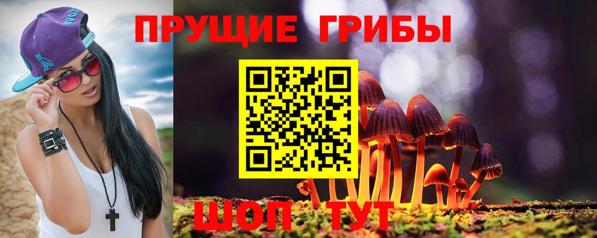 Будённовск  Галлюциногенные грибы ЛСД  Вход с VPN 