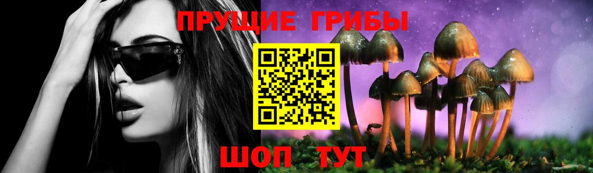 Псилоцибиновые грибы Magic Shrooms Будённовск