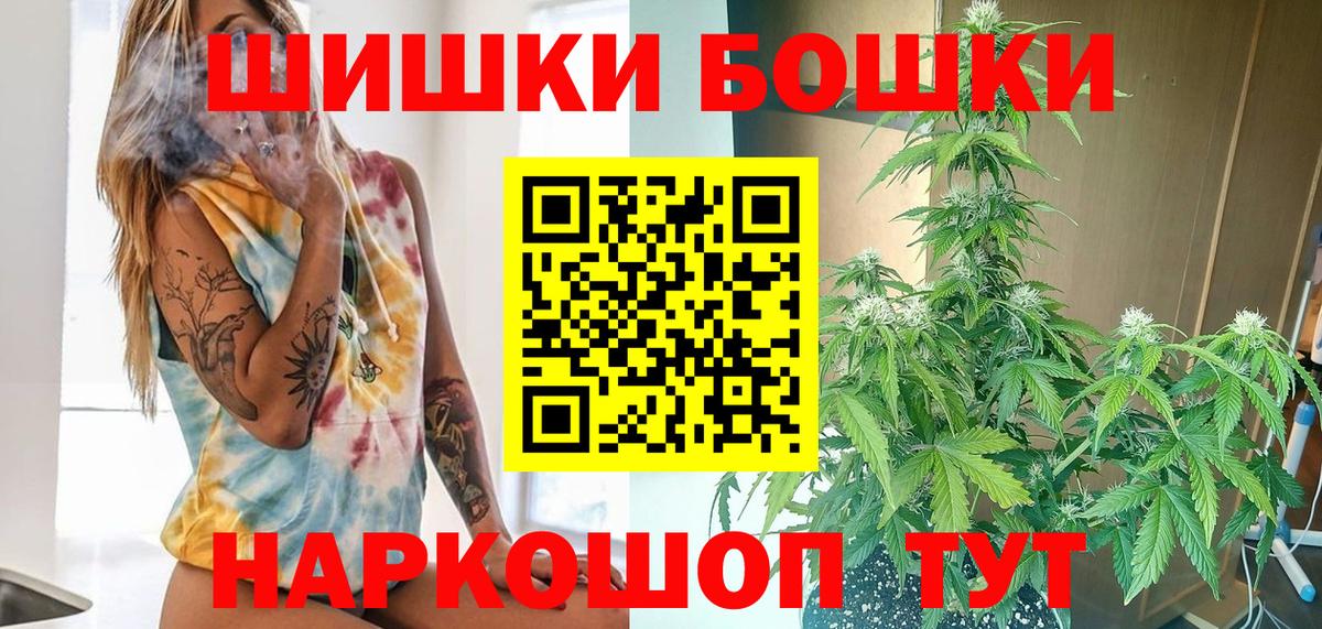 Бошки Шишки планчик Будённовск